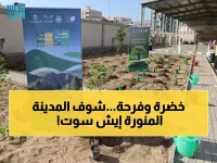 عاجل: المدينة المنورة تزرع 200 ألف شجرة في مدارسها... مشروع بيئي ضخم يغير وجه التعليم!