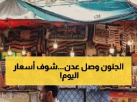 عاجل: انفجار أسعار جنونية في عدن… الدولار الجمركي يهدد بزيادة 700% - هل تخسر الأسر نصف دخلها؟