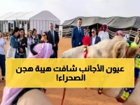 شاهد: 100 سائح أجنبي يتابعون بذهول منافسات الإبل السعودية... لقطات حصرية من التحكيم النهائي!