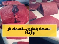 عاجل: انفجار أسعار الأسماك في عدن - الكيلو بـ 24 ألف ريال والمواطنون في صدمة!