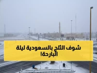 عاجل: طريف تسجل صفراً مئوياً والثلوج تغطي السعودية - مشاهد لم نرها منذ عقود!