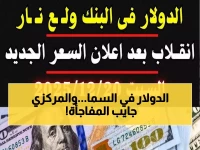 عاجل: الدولار يحتفظ بـ 47.53 جنيه رغم تعطيل البنوك... والمركزي يكشف خطة جديدة تصدم الأسواق!