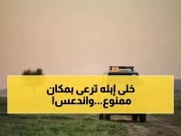 صادم: غرامة 37 ألف ريال لمواطن رعى إبله في محمية الملك عبدالعزيز… والسبب سيدهشك!