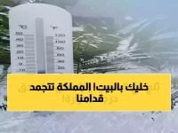 عاجل: السعودية تدخل عصر جليدي مصغر - صفر مئوي ومدن تختفي تحت الضباب!