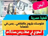 صادم: الدولار يقفز لـ1635 في عدن بينما يباع بـ536 في صنعاء... الفجوة تتسع بشكل خطير!