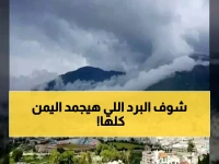عاجل: موجة برد قطبية تضرب اليمن... الحرارة تصل لـ 6 درجات والصقيع يهدد المزارعين!