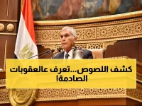عاجل: مشروع قانون جديد يدمر "لصوص الكهرباء" بعقوبات صادمة... والتصالح متاح بشروط محددة!