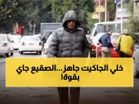 عاجل: الأرصاد تحذر من موجة برد قطبية تضرب مصر غداً... درجات حرارة 5 مئوية وشبورة كثيفة تشل الحركة!