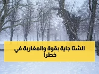 عاجل: موجة قطبية تضرب المغرب غداً... درجات حرارة تحت الصفر وثلوج كثيفة - إنذار أحمر!