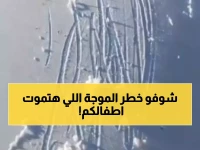 عاجل: موجة قطبية شرسة تضرب 15 محافظة يمنية... الأرصاد تحذر: أطفالكم وكبار السن في خطر حقيقي!