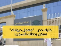 عاجل: النيابة العامة تعلن الحرب على مهملي الحيوانات... عقوبات صارمة تنتظر المخالفين!