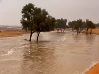 سحر خفي: مياه الأمطار تحول وادي الخويش لجنة طبيعية... والمصورون في سباق مع الوقت!