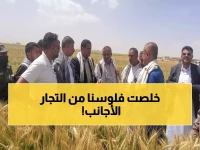 عاجل: مزارعو ريمة يحققون معجزة زراعية تُنهي عقود الاستيراد... نجاح 100% لأشجار الزيتون في موسم واحد!