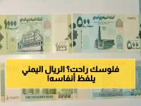 عاجل: انهيار مروع للريال اليمني... الدولار بـ 534 في صنعاء وقد يصل 2000 في عدن - مأساة اقتصادية تدمر الأسر!