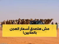 عاجل: إبل «الشعل» تحطم الأرقام القياسية... صفقات مليونية تهز مهرجان الملك عبد العزيز!