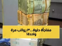 عاجل: بنك عدن يصرف رواتب 3 أشهر دفعة واحدة - آلاف الموظفين يستلمون مستحقاتهم المتأخرة!