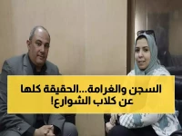 عاجل: عقوبة السجن و500 ألف جنيه غرامة.. والحكومة تكشف الحقيقة الصادمة لملف كلاب الشوارع في مصر!