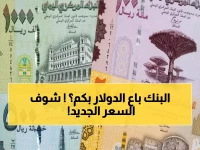 عاجل: هبوط جديد للريال اليمني في عدن… الدولار يقفز لـ1630 والسعودي يخترق حاجز الـ428!
