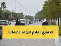 عاجل: خبير فلكي يحذر من «برد الأزيرق» القادم من سيبيريا… هل تتحمل أطرافك الصقيع القطبي؟