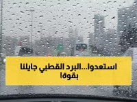 عاجل: موجة برد قطبية تضرب مصر خلال أيام... درجات حرارة تلامس الصفر وشبورة كثيفة تشل الحركة!