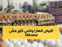 عاجل: أسعار البيض تنهار بـ 5.74 جنيه في يوم واحد - الكرتونة البلدي بـ140 جنيه فقط!
