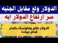 عاجل: الدولار يحطم حاجز الـ47.5 جنيه - أسعار صادمة في البنوك المصرية اليوم!