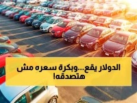 عاجل: خبير اقتصادي يكشف انهيار الدولار في 2026... والأسعار ستشهد مفاجأة صادمة!