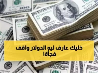 عاجل: الدولار يتجمد عند 47.6 جنيه في البنوك المصرية… هل يعني هذا استقرار نهائي أم هدوء ما قبل العاصفة؟