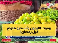 عاجل: الموجة الصمغية تدمر أشجار الليمون... خبير يكشف حقيقة الأسعار قبل رمضان!
