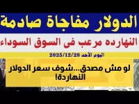 عاجل: أقل سعر للدولار يصل 47.45 جنيه - بنك واحد يفاجئ المصريين بالسعر الأرخص!