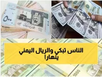عاجل: انهيار مدمر للريال اليمني... الدولار يقفز لـ 1635 في عدن بينما يتداول بـ 536 في صنعاء!