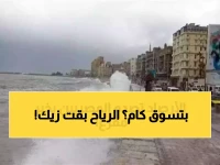 60 كم/ساعة.. نفس سرعة سيارتك لكنها الآن سرعة الرياح التي تضرب 9 محافظات مصرية