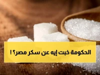 عاجل: احتياطات السكر في مصر تنهار من 13 لـ 10 أشهر.. والوزير يطمئن: لا زيادة أسعار حتى 2026!