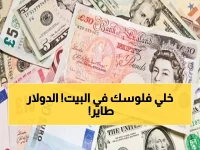 عاجل: الدولار يقفز لـ 47.71 جنيه في البنك الأهلي - هل تشهد العملات انفجاراً جديداً؟