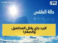 عاجل: أرصاد اليمن تحذر من موجة صقيع مدمرة خلال 24 ساعة - المحاصيل والأطفال في خطر!