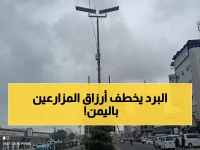 عاجل: موجة صقيع مدمرة تهدد محاصيل اليمن خلال ساعات... خسائر مليونية منتظرة!