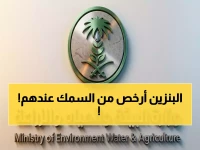 عاجل: ضبط 594 كيلو أسماك مسمومة في عسير.. والعقوبة صادمة للمتلاعبين بصحة المواطنين!