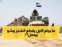 عاجل: "حُطّاب الليل" يُرعبون الجنوب... تحذير أمني صادم يكشف استراتيجية العدو الجديدة!