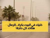 عاجل: عاصفة ترابية "مدمرة" تحاصر 12 مدينة بالشرقية غداً... الرؤية تنعدم تماماً لـ10 ساعات متواصلة!