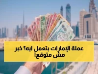 عاجل: الدرهم الإماراتي يحقق استقراراً مفاجئاً عند 12.95 جنيه... والبنوك تتوقف 4 أيام!