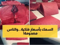 عاجل: أسعار الأسماك تشهد قفزة جنونية في عدن... الديرك يصل 24 ألف ريال!