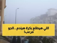 عاجل: الأرصاد تحذر من ضباب كثيف يشل الحركة وأمطار غزيرة... 20% فقط احتمال نجاتك من المطر!