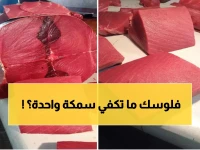 صادم: أسعار الأسماك تنفجر في عدن... الديرك بـ24 ألف والبياض يصل 8 آلاف ريال!