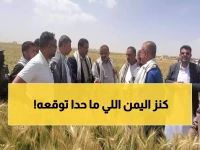 معجزة ريمة: مزارعون يمنيون يكتشفون كنزاً مدفوناً... 100% نجاح في موسم واحد قد يغير خريطة الاقتصاد!