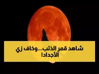 الأجداد كانوا يخشون هذه الليلة.. "قمر الذئب العملاق" يظهر في سماء السعودية.. وتحذير غامض من الفلكيين! (شاهد)