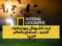 حصري: تردد قناة ناشيونال جيوغرافيك بالعربية 2026 بعد التحديث ودليل الضبط للاستمتاع بمغامرات عالم الحيوان!
