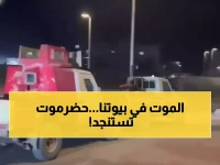 عاجل: أسلحة منهوبة تهدد إبادة أسر كاملة في حضرموت والمهرة... المواطنون يخزنونها بمنازلهم!