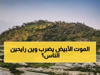 عاجل: صقيع يضرب المرتفعات اليمنية وجفاف يهدد القطاع الزراعي... أزمة غذائية وشيكة تنتظر المواطنين!