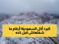 عاجل: درجة واحدة مئوية تضرب السعودية! طريف ورفحاء تسجلان أرقاماً قياسية والأرصاد تحذر