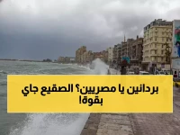 عاجل: انهيار جليدي للحرارة… 6 درجات تجمد مصر غداً والصقيع يهدد المزروعات!